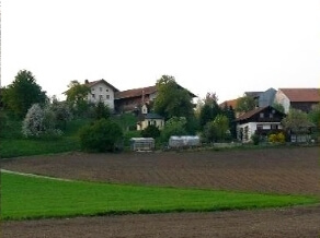 Fledermaus-Kartierung Dorf